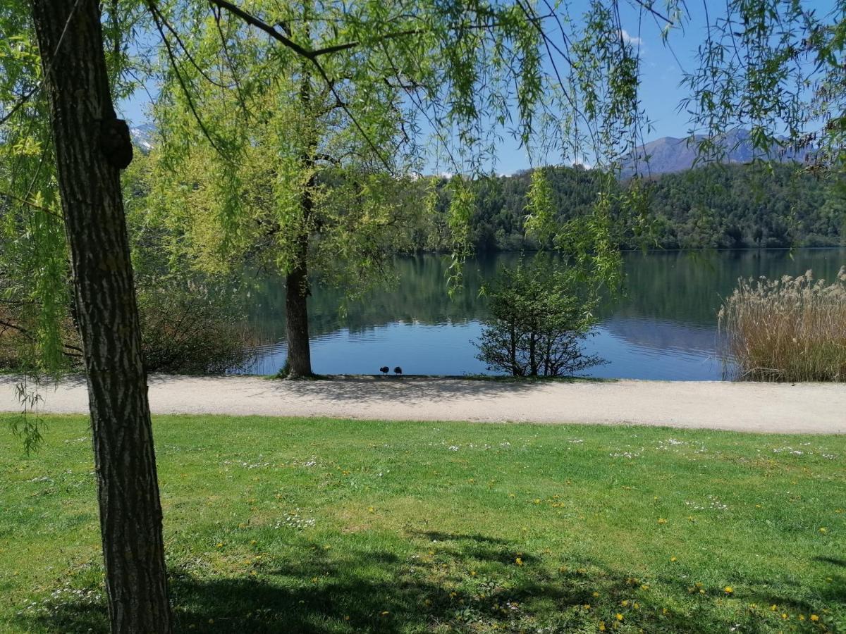 Apartamento Ca' Dei Cigni Calceranica al Lago Exterior foto