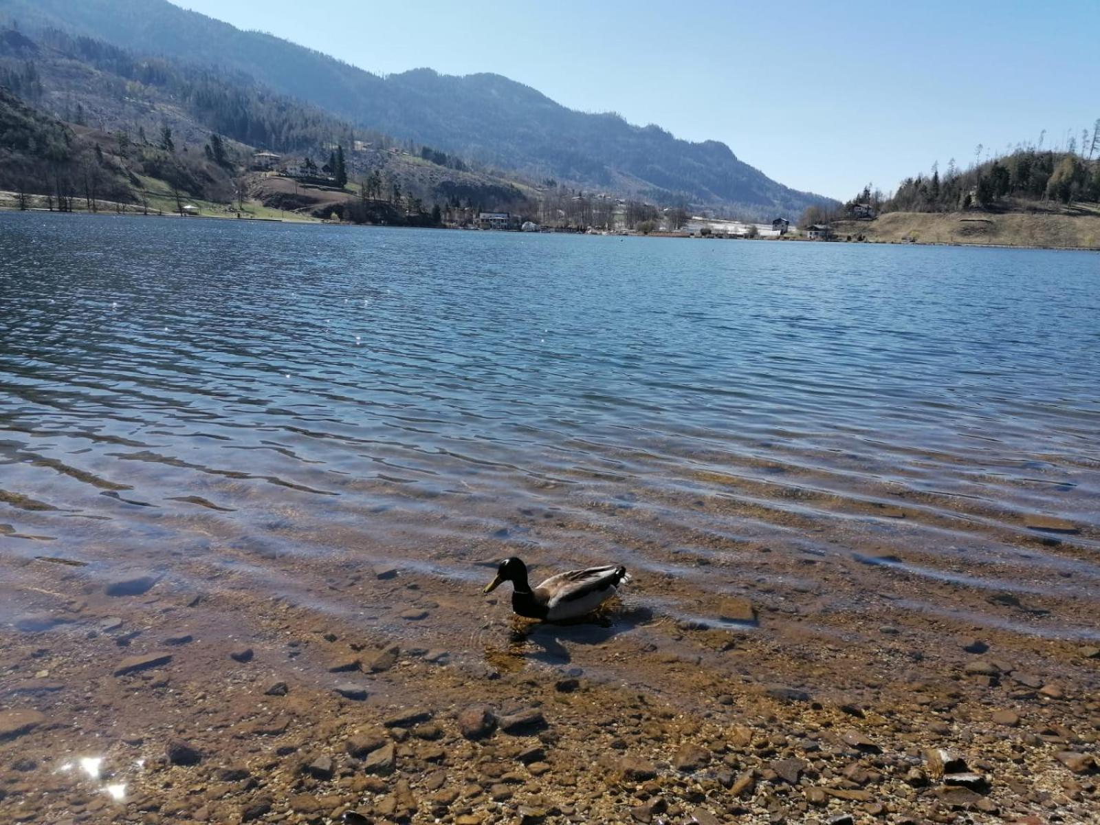 Apartamento Ca' Dei Cigni Calceranica al Lago Exterior foto